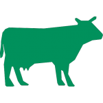 cow12-512-g